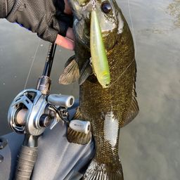 スモールマウスバス