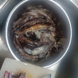 ムギイカ