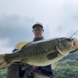 ブラックバス