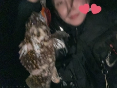 ムラソイの釣果