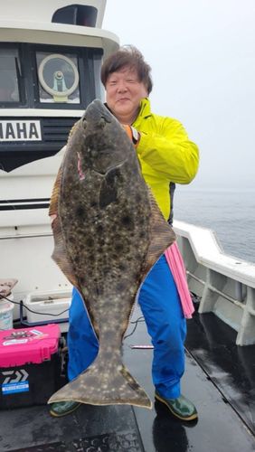 オヒョウの釣果