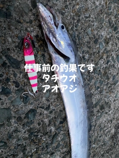 タチウオの釣果