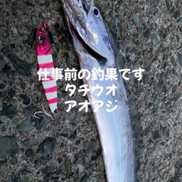 タチウオ