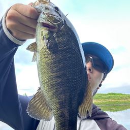 スモールマウスバス