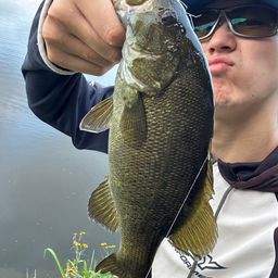 スモールマウスバス