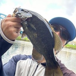 スモールマウスバス