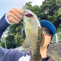 スモールマウスバス