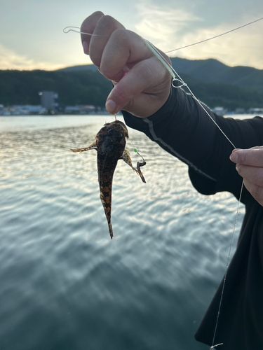 釣果