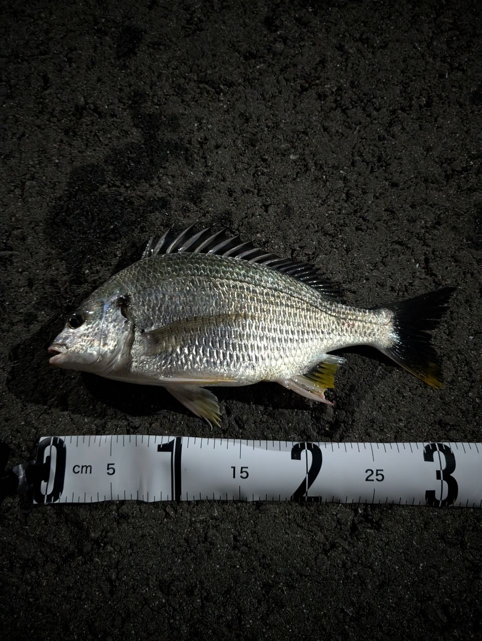 SHIMANO 20ソアレ エクスチューン S64UL+-Sの最安値・インプレ