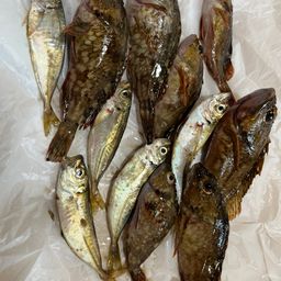 アジ