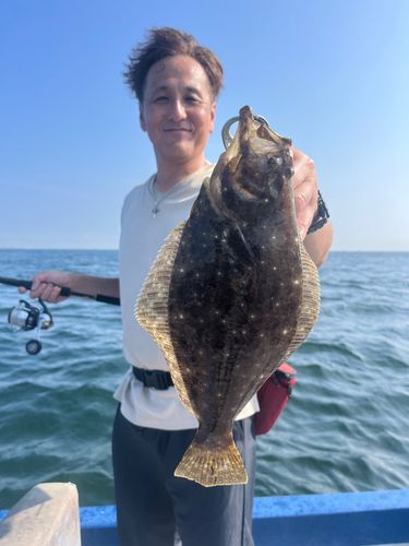 ヒラメの釣果