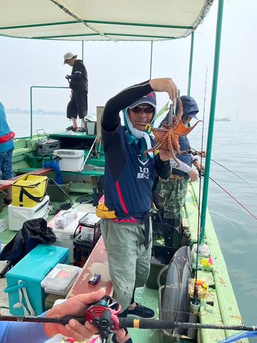 タコの釣果