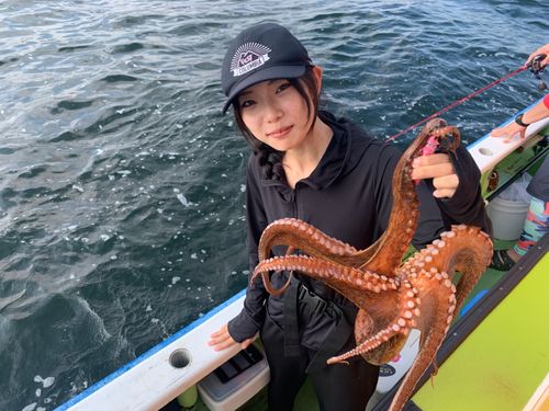 タコの釣果