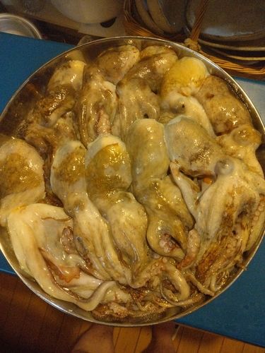 タコの釣果