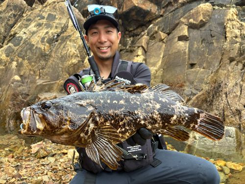 ベッコウゾイの釣果