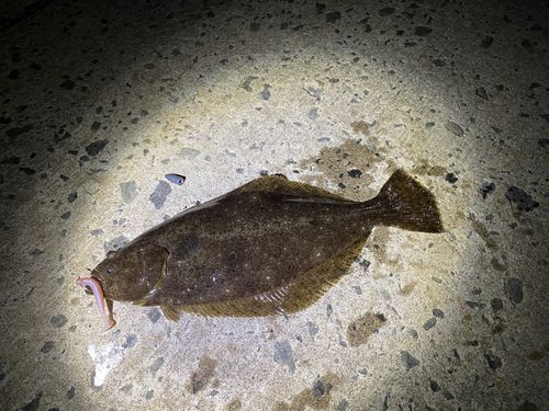 神恵内漁港