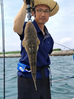 マゴチの釣果