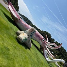 セイゴ（マルスズキ）