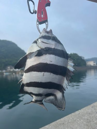 釣果