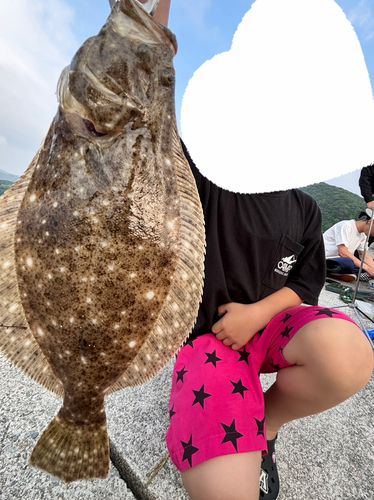 ヒラメの釣果