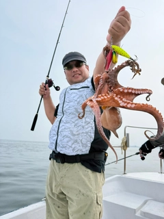 タコの釣果