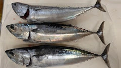 釣果