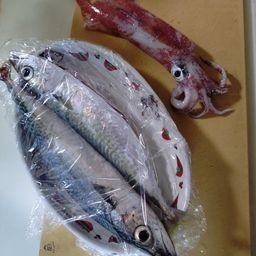 サバ