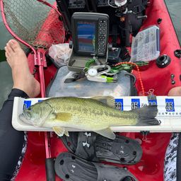 スモールマウスバス