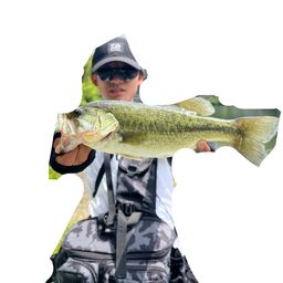 ラージマウスバス