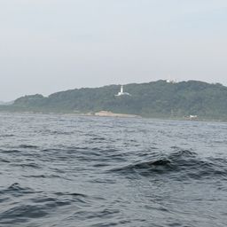 タチウオ