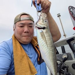 アジ
