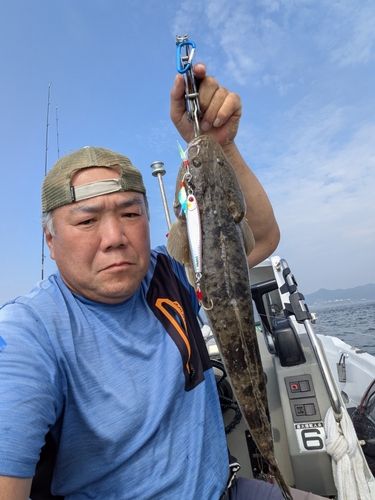 マゴチの釣果