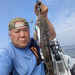 マゴチ