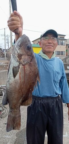イシナギの釣果
