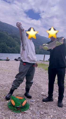 ニジマスの釣果