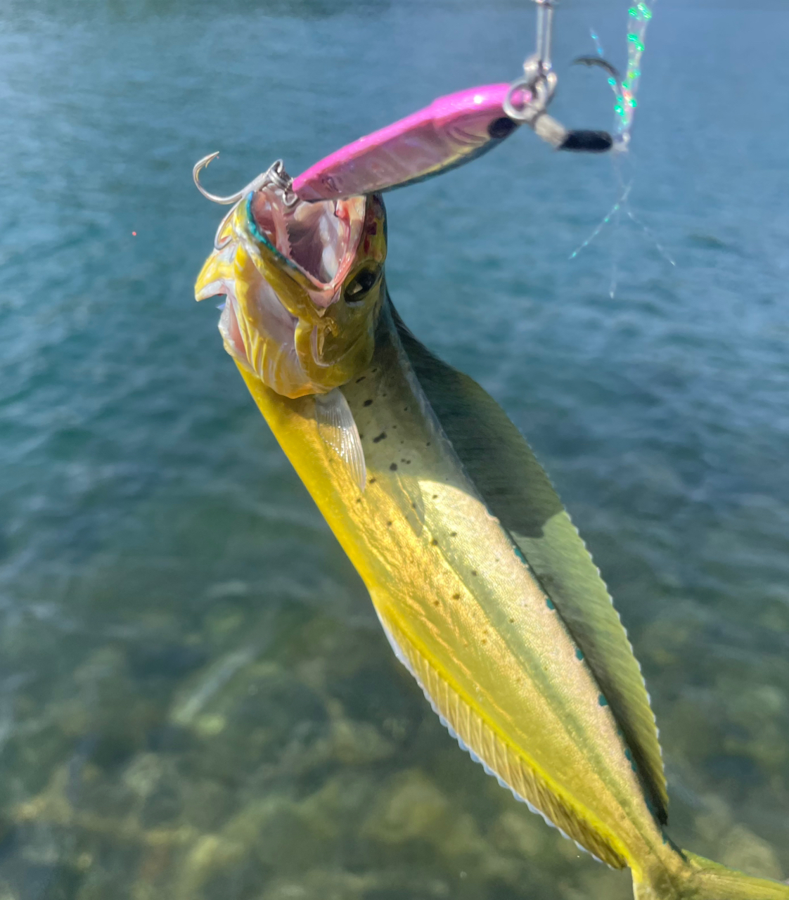 シマノ(SHIMANO) 23 ディアルーナ S90ML ディアルーナ[DIALUNA