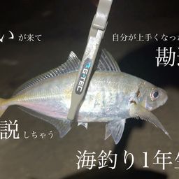 アジ