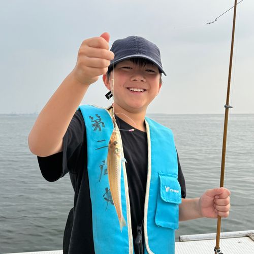 シロギスの釣果