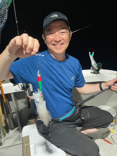 アカイカの釣果