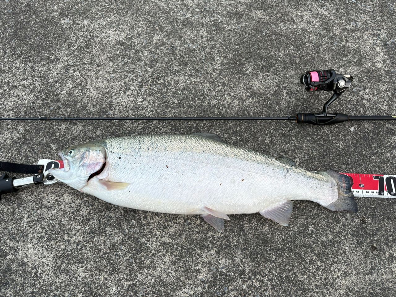 SHIMANO 21ソアレXR S68UL-Sの最安値・インプレ・釣果 | 本音の