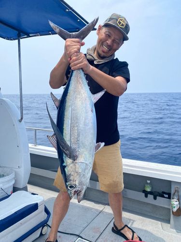 ビンチョウマグロ