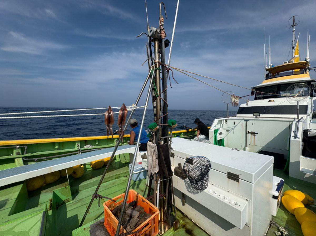 kunchanさんの釣果 2枚目の画像