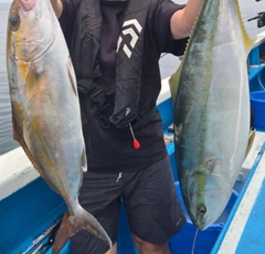 カンパチの釣果