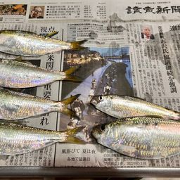 ママカリ