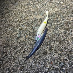 クロソイ