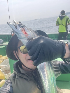 タチウオの釣果