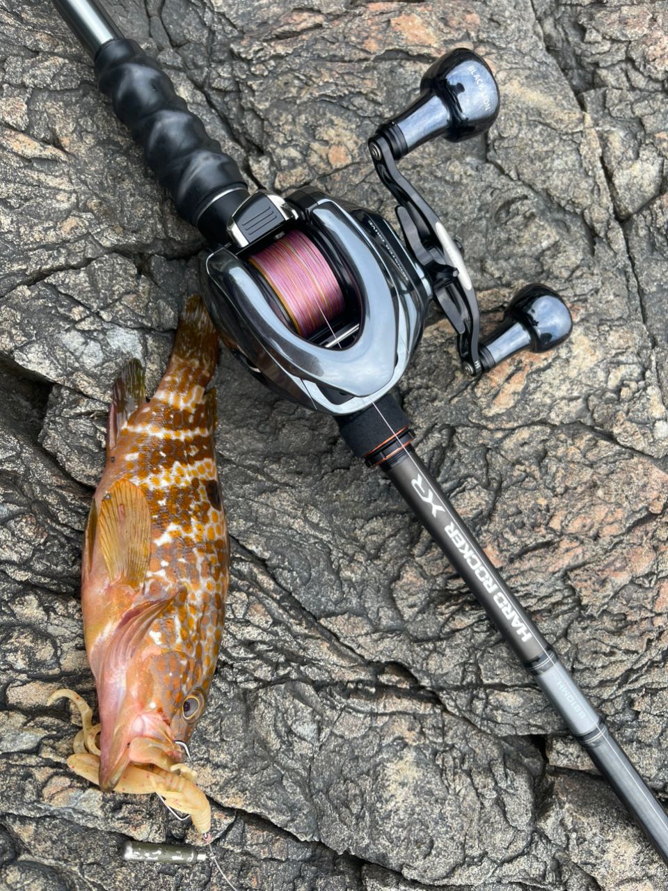 SHIMANO - σσSHIMANO シマノ ハードロッカーXR B810XXH 美品 程度A 39901 σσ SHIMANO シマノ ハードロッカーXR B810XXH 美品 程度A 39901