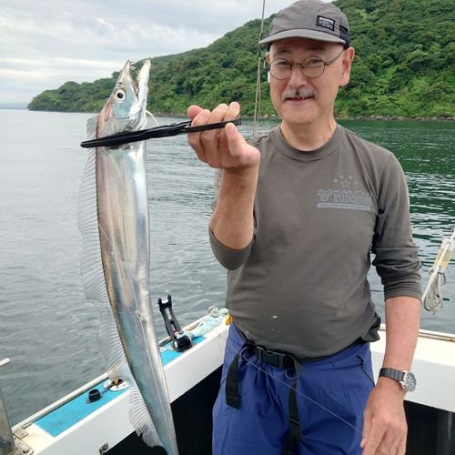 タチウオの釣果