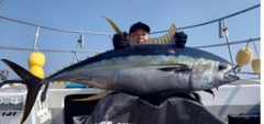 キハダマグロの釣果