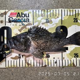 クロソイ